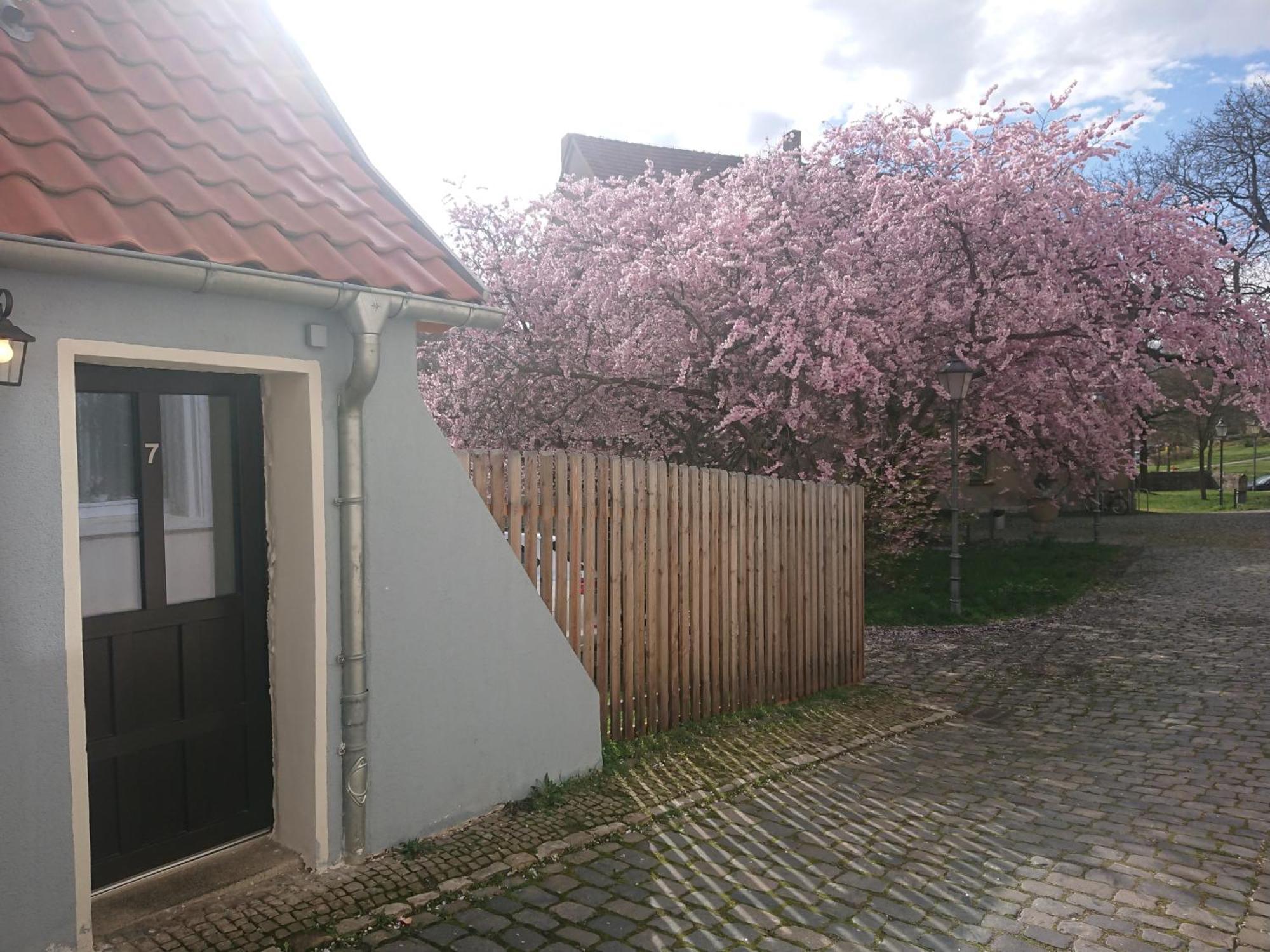 Ferienhaus Aschersleben Casa vacanze Aschersleben